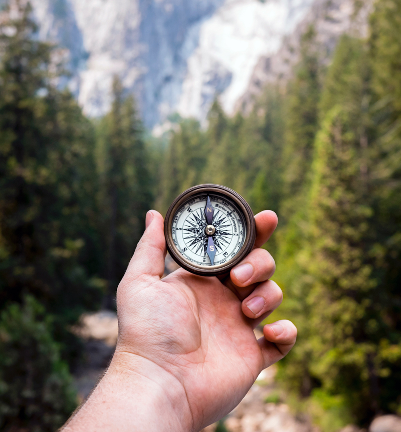 Leadership and Executive Coaching with hand holding compass in forest